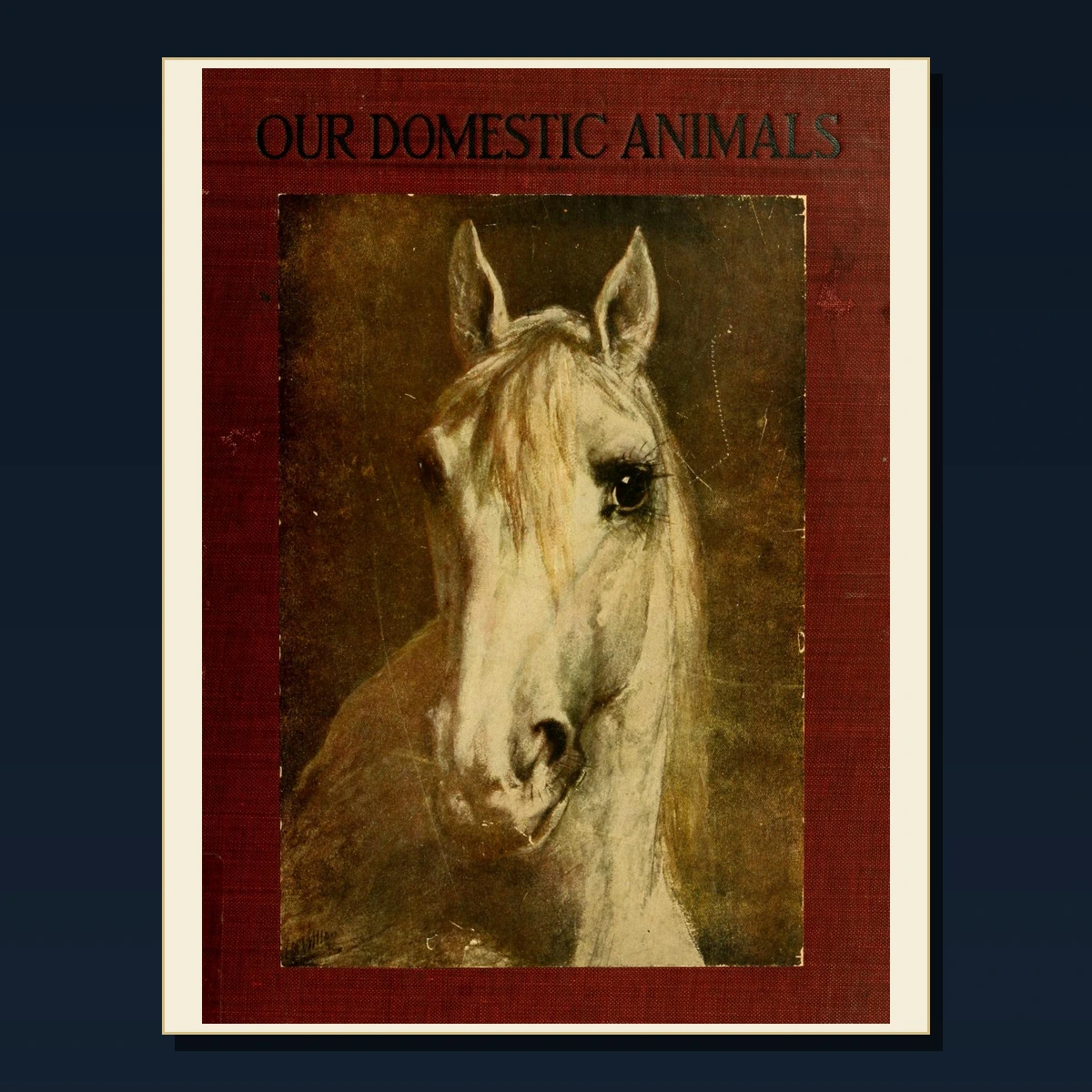 125 Animal Training and Performing Animals PDF Books – Curated Historical Collection image 2