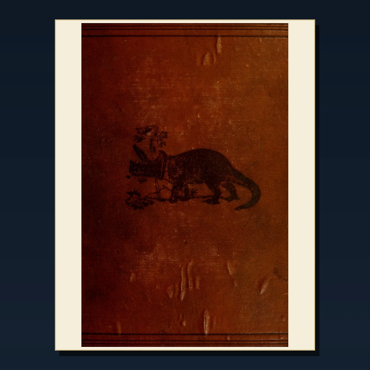 125 Animal Welfare and Humane Societies PDF Books – Curated Historical Collection image 5