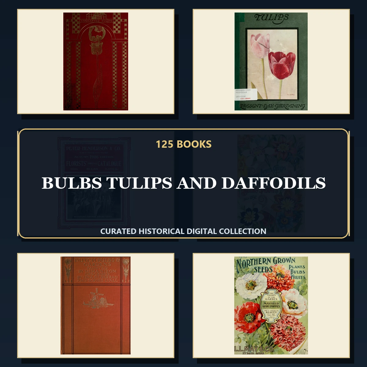 125 Bulbs Tulips and Daffodils PDF Books – Curated Historical Collection cover