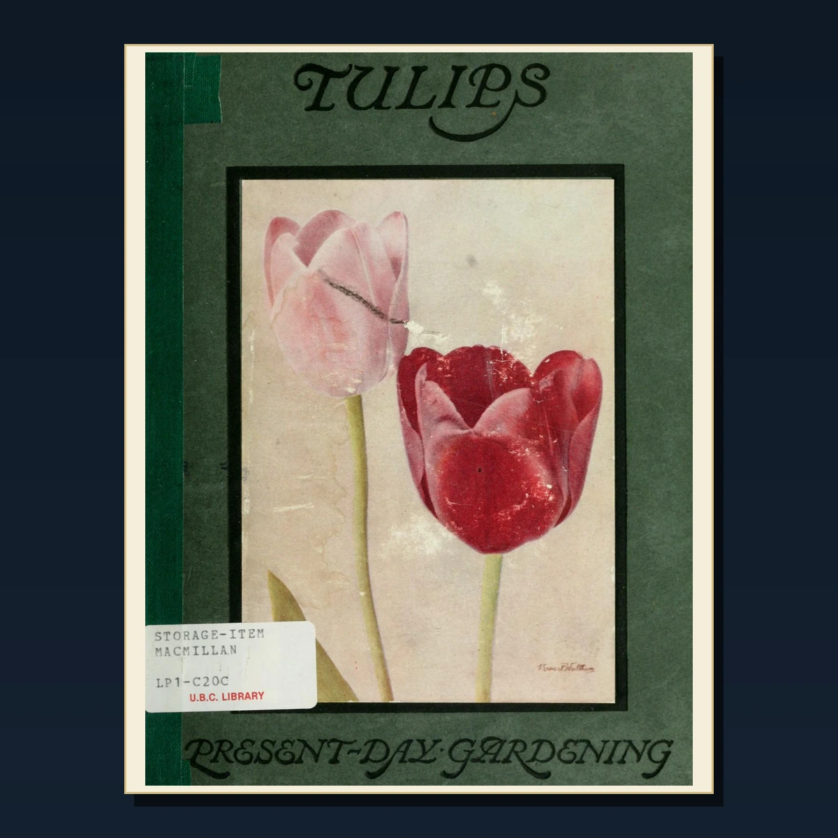 125 Bulbs Tulips and Daffodils PDF Books – Curated Historical Collection image 3