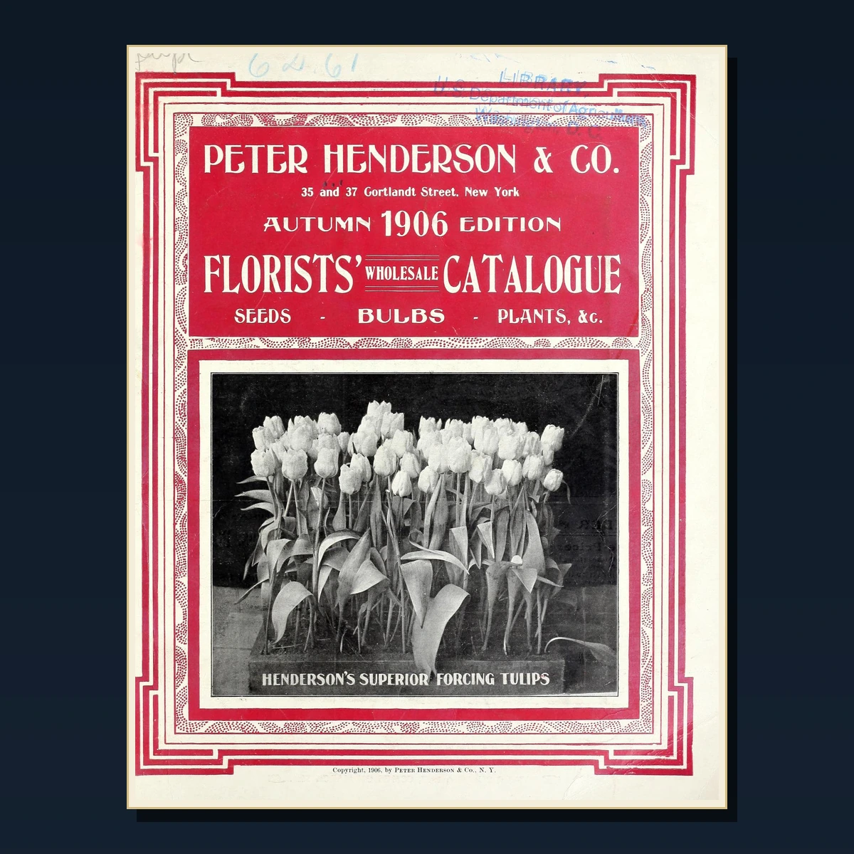 125 Bulbs Tulips and Daffodils PDF Books – Curated Historical Collection image 4