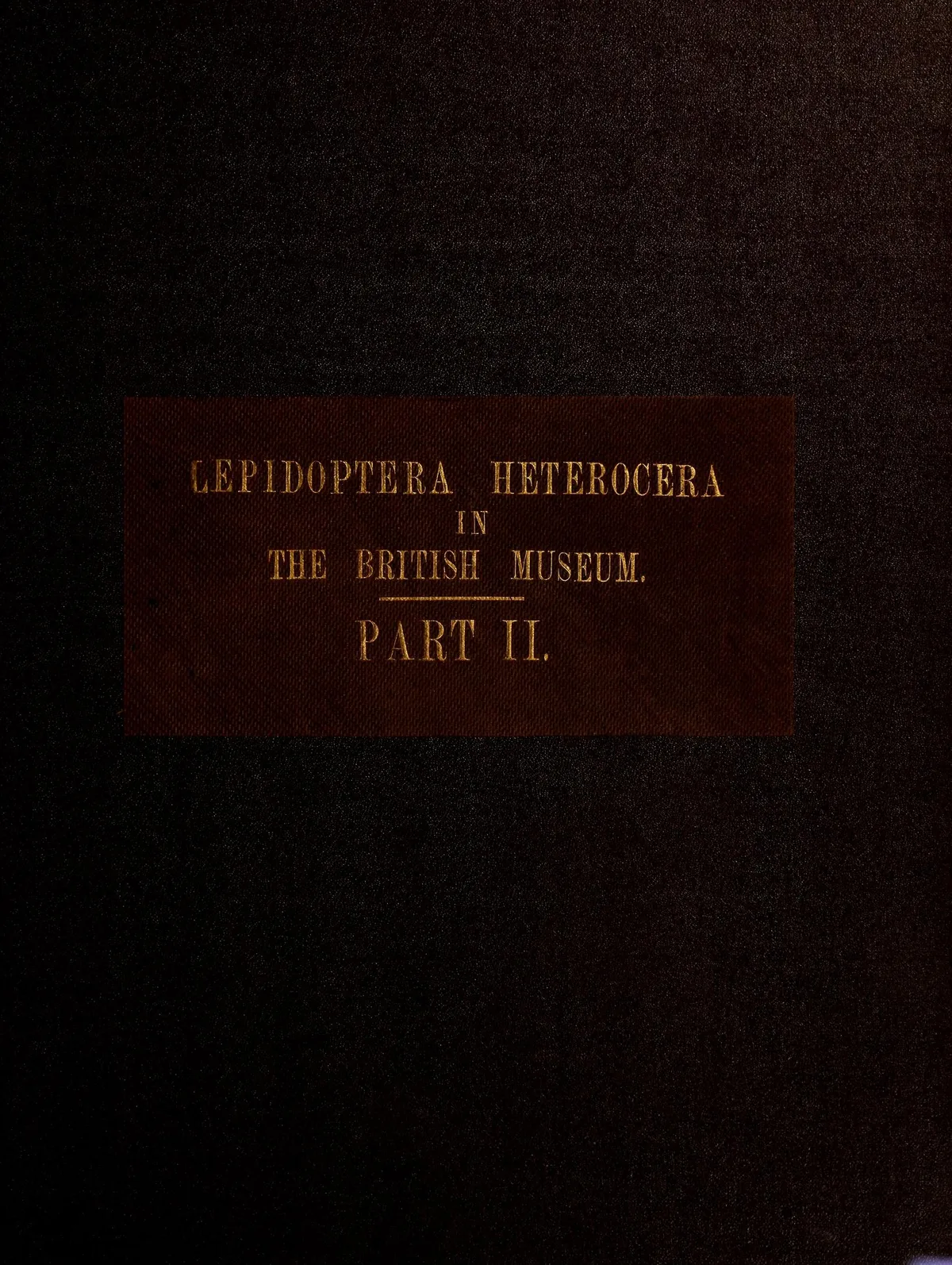 100 Antique Butterflies, Moths & Lepidoptera Books PDF Collection on USB preview gallery image