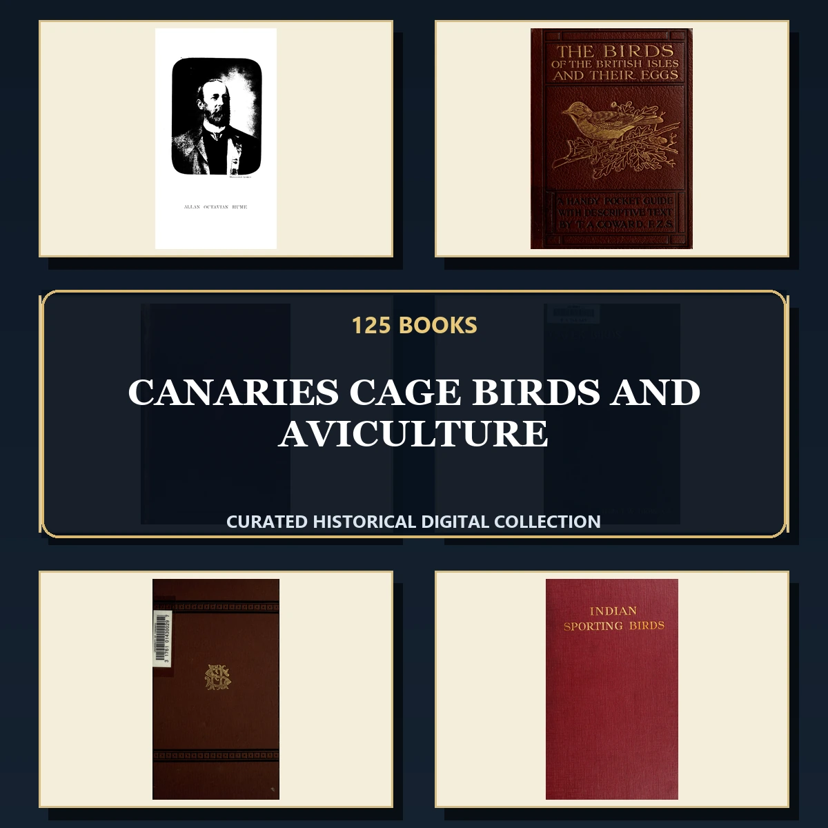 125 Canaries Cage Birds and Aviculture PDF Books – Curated Historical Collection