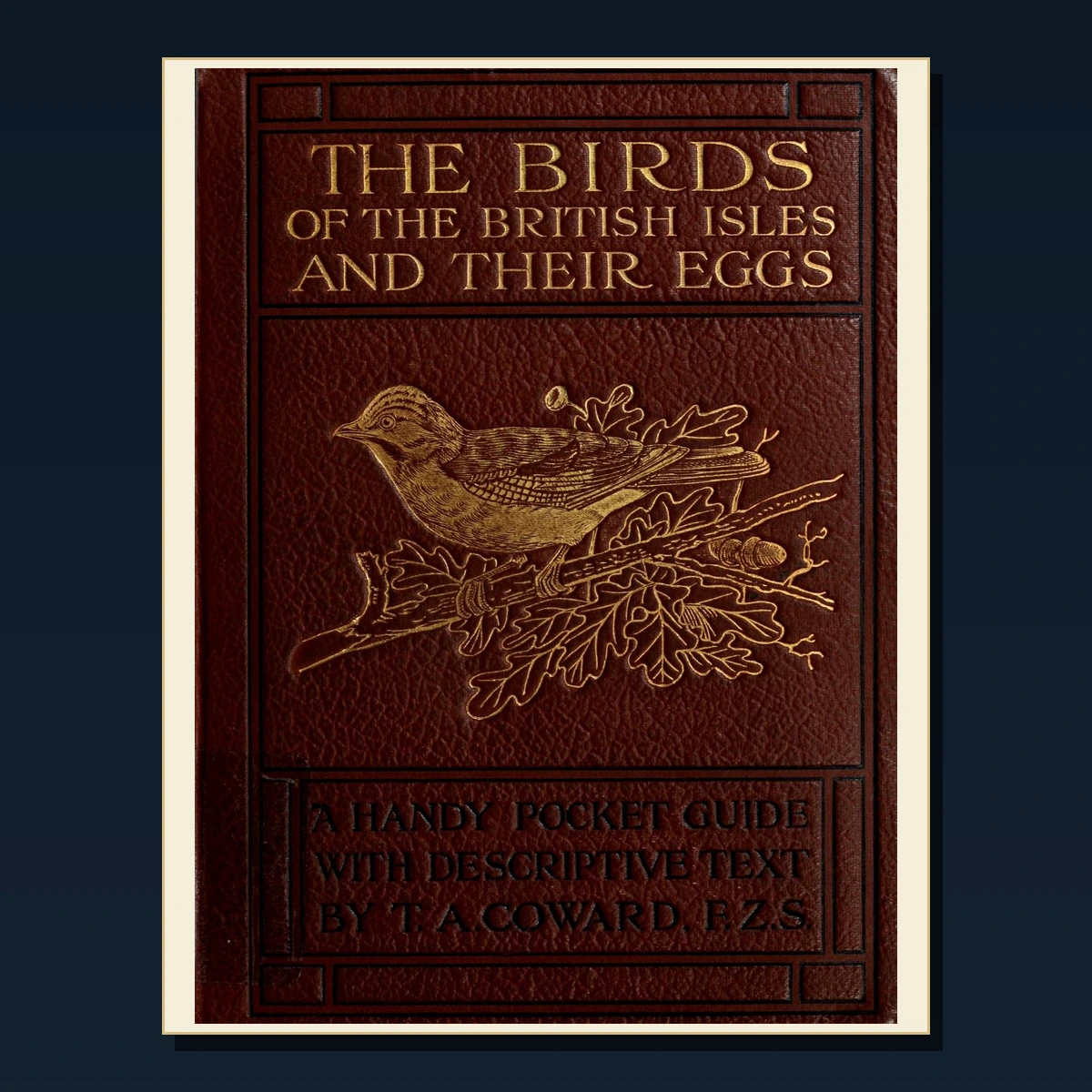 125 Canaries Cage Birds and Aviculture PDF Books – Curated Historical Collection image 3