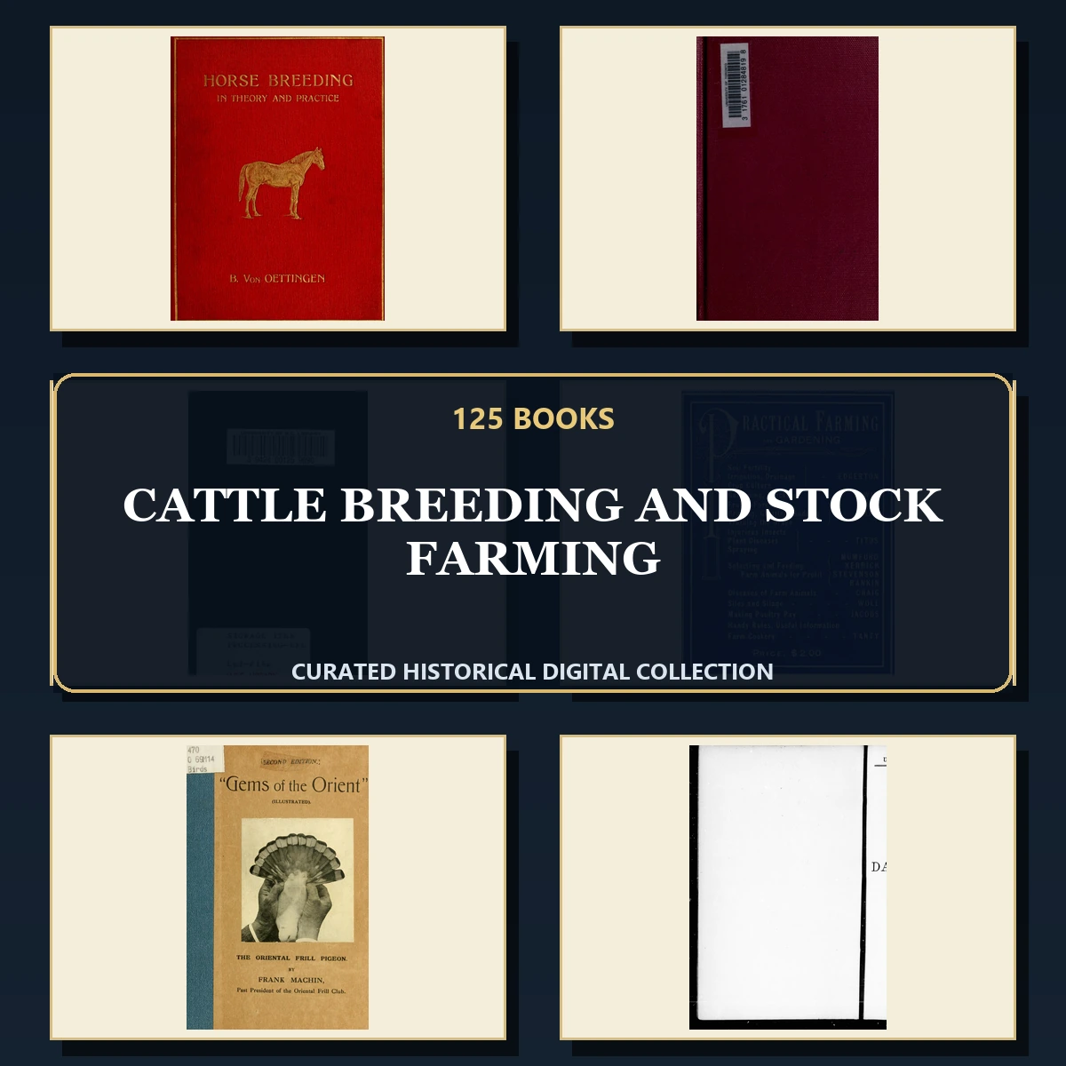 125 Cattle Breeding and Stock Farming PDF Books – Curated Historical Collection cover