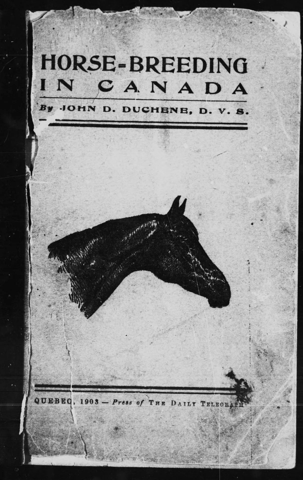 100 Antique Cattle Husbandry & Livestock Farming Books PDF Collection on USB preview gallery image