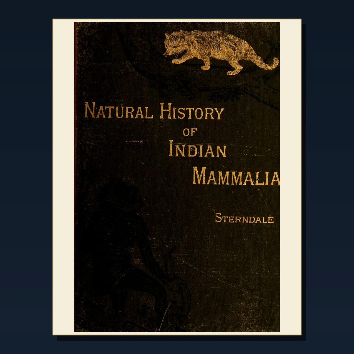 125 Ceylon Sri Lanka History and Travel PDF Books – Curated Historical Collection image 4