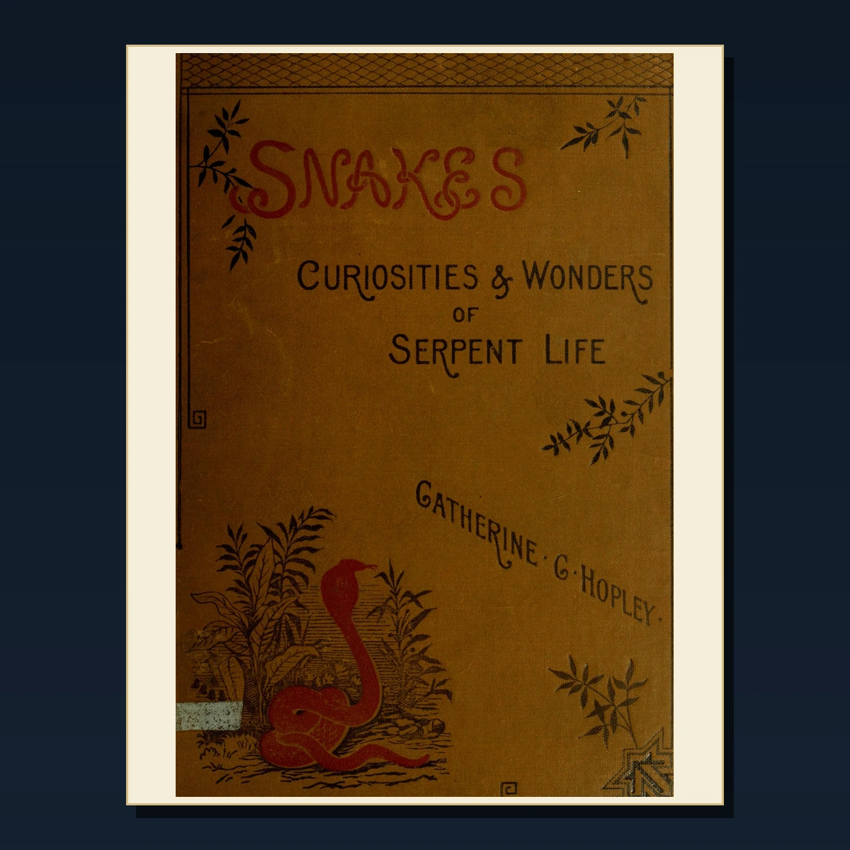 111 Curiosities Cabinets and Museums PDF Books – Curated Historical Collection image 3