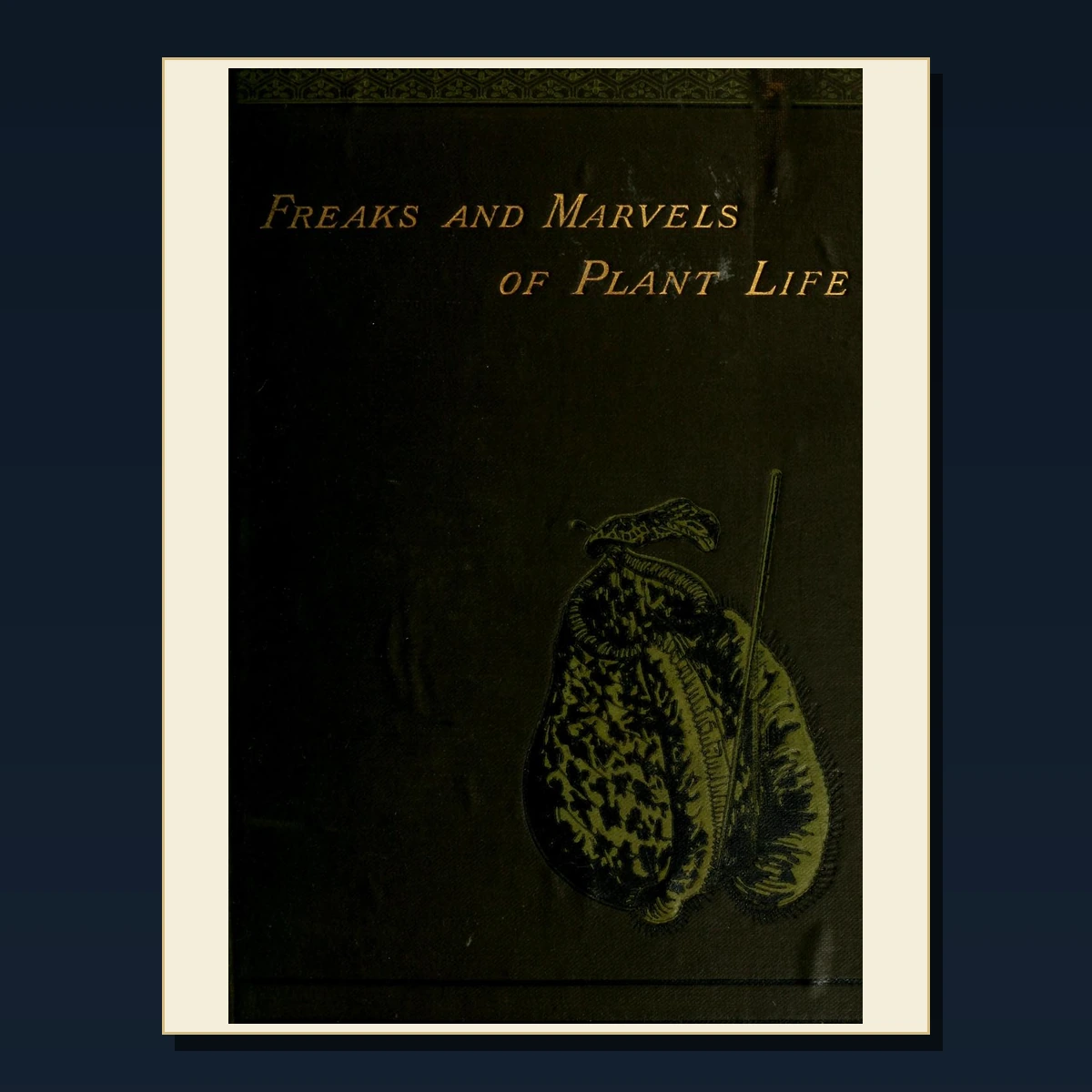 111 Curiosities Cabinets and Museums PDF Books – Curated Historical Collection image 4