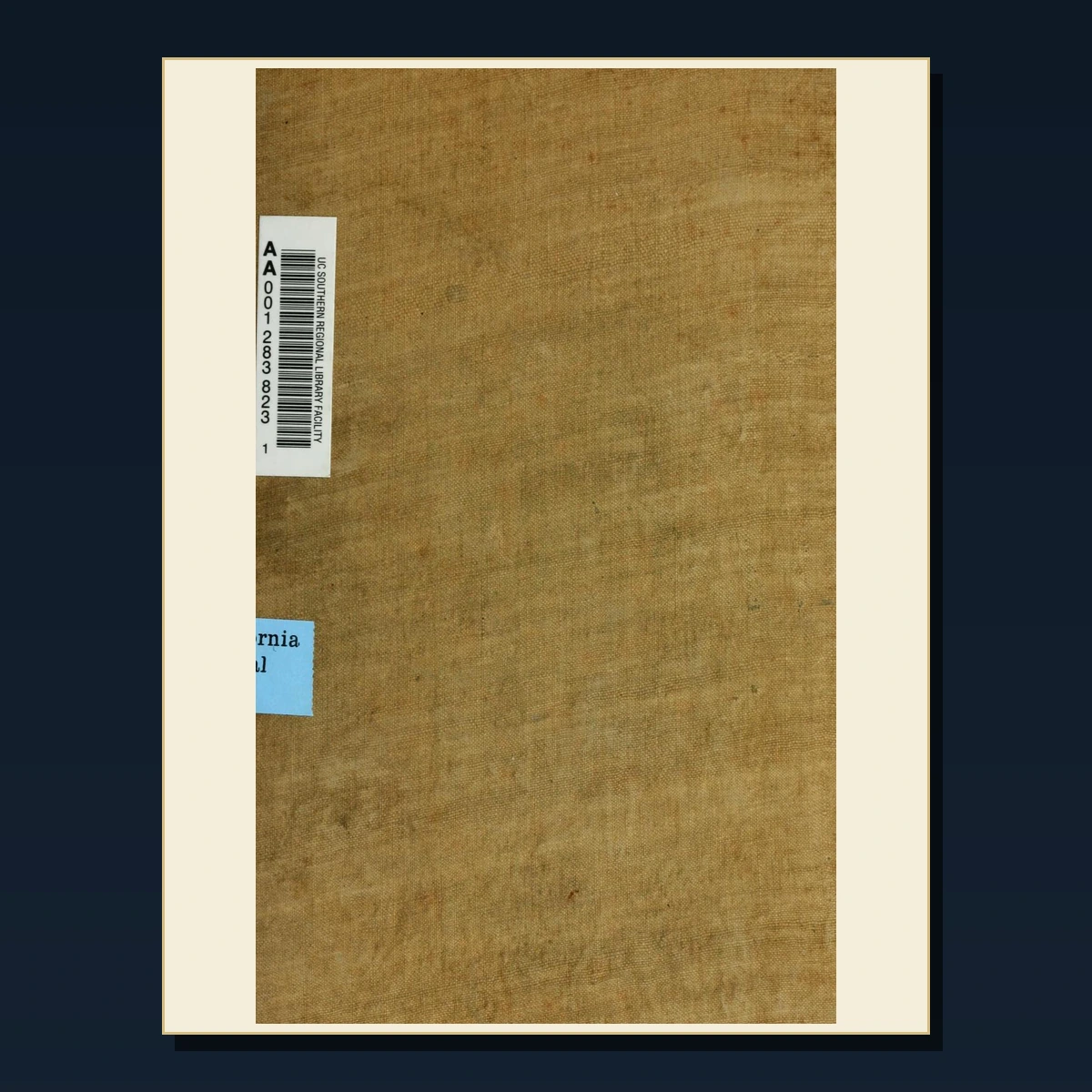 111 Curiosities Cabinets and Museums PDF Books – Curated Historical Collection image 6