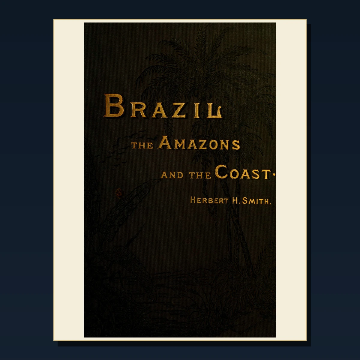 125 Devon History Coast and Moorlands PDF Books – Curated Historical Collection image 5