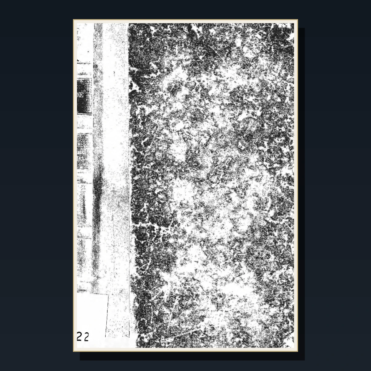 55 Edgar Allan Poe Books image 5