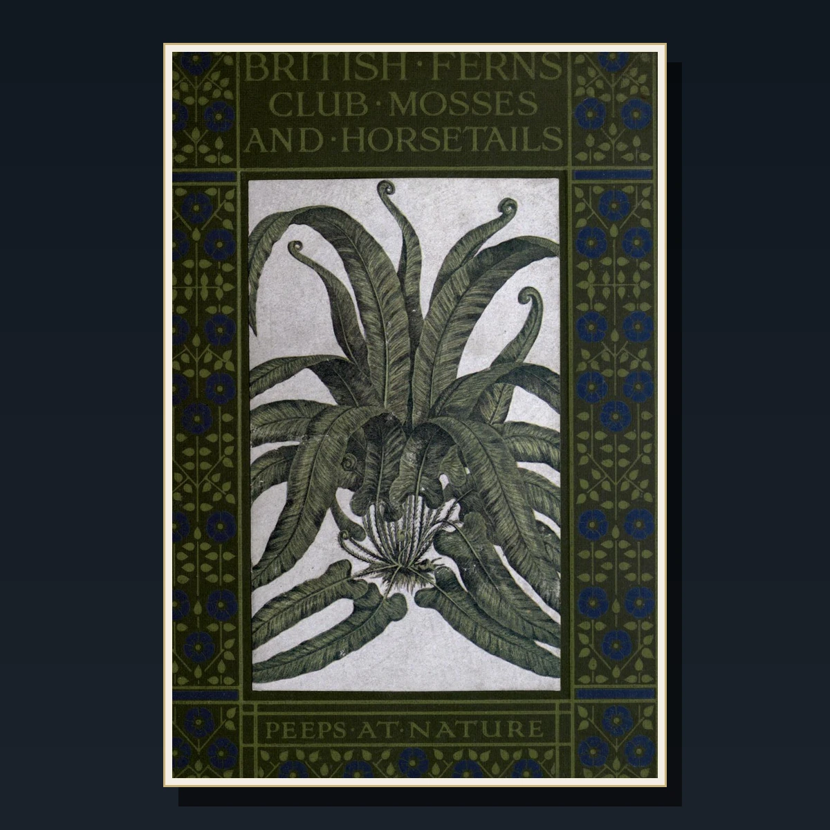 125 Ferns and Mosses Books image 5