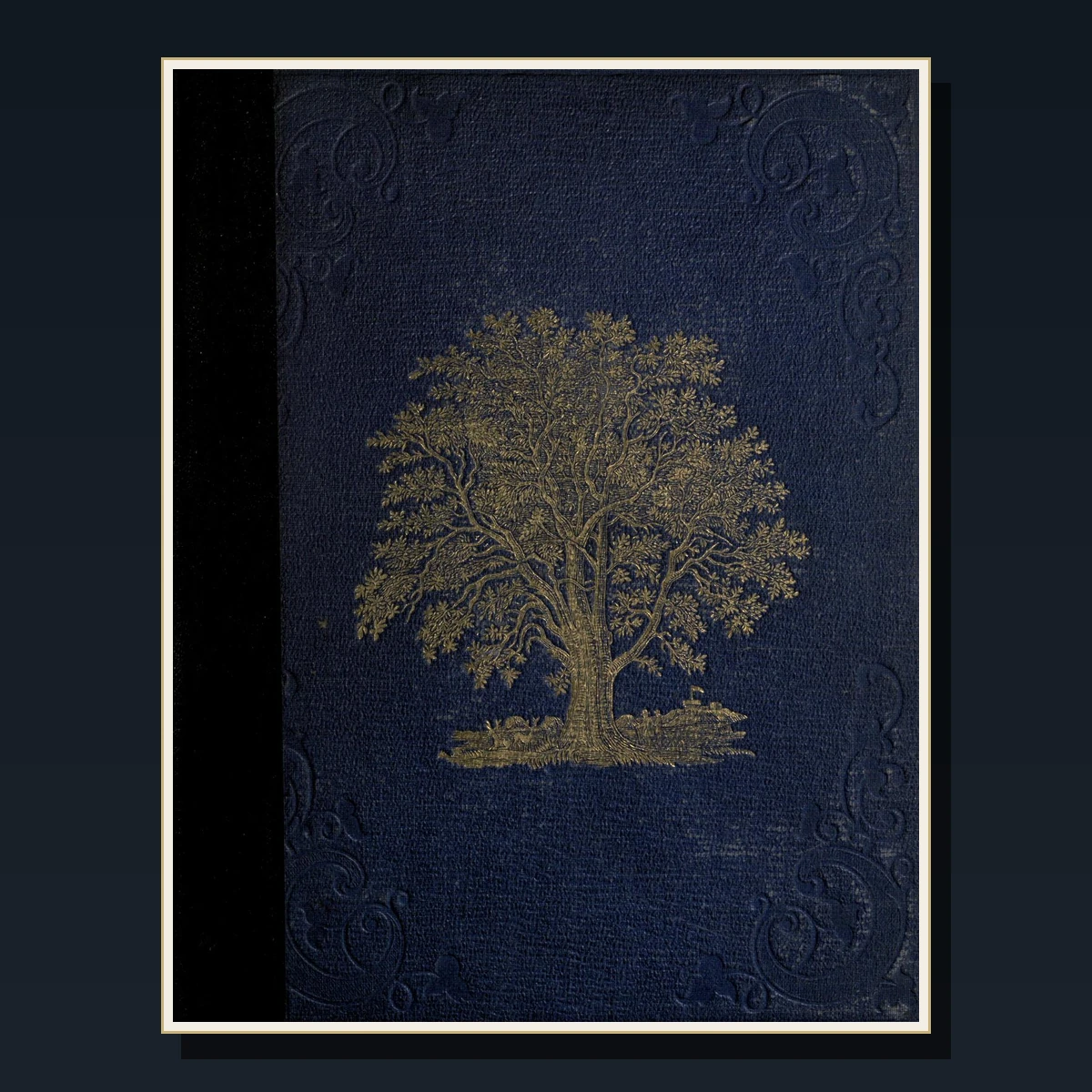125 Ferns and Mosses Books image 6