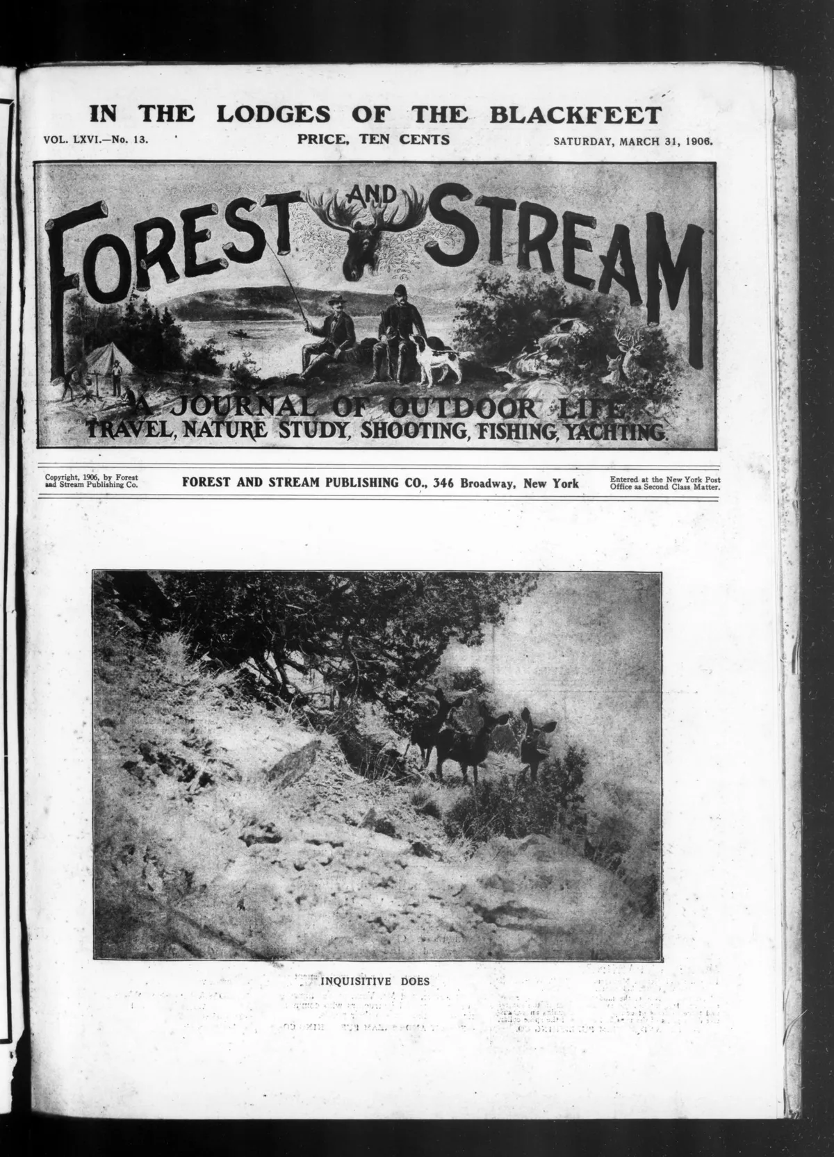 100 Vintage Fishing Angling & Fly Fishing Books PDF USB preview gallery image