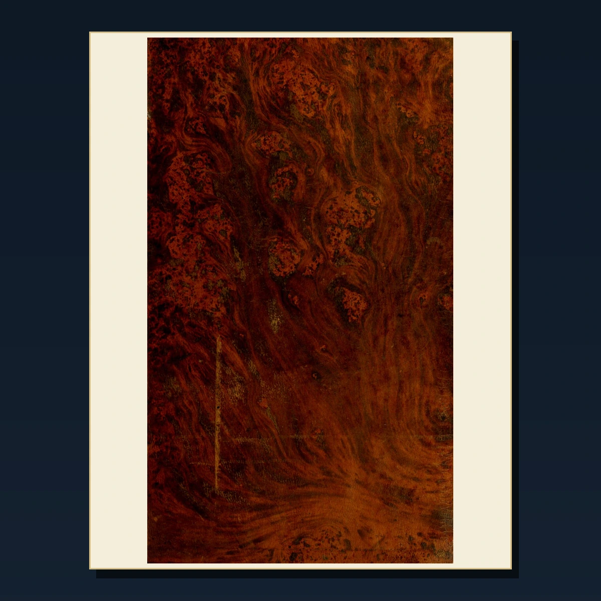 125 Florence and the Medici PDF Books – Curated Historical Collection image 3
