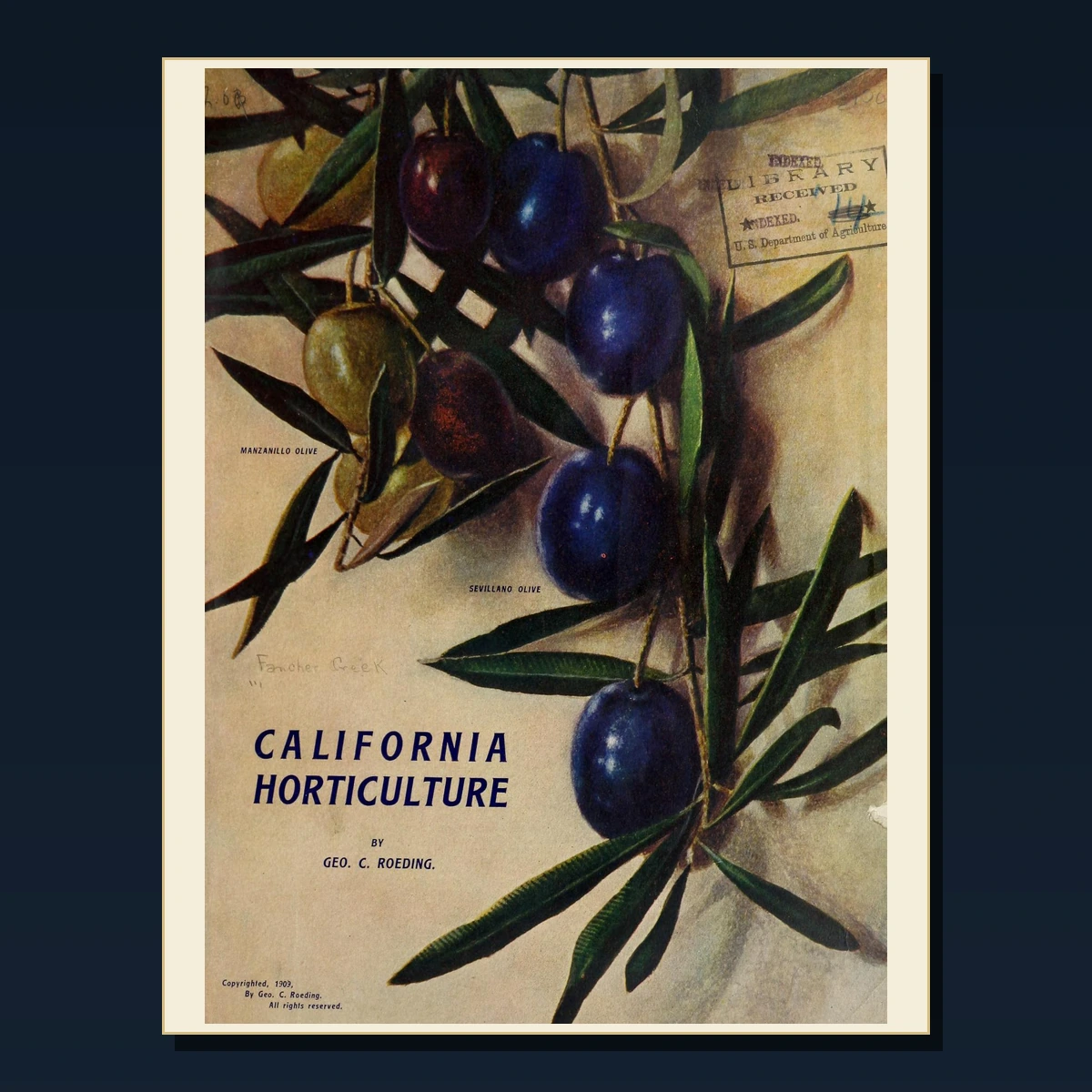 125 Fruit Growing and Pomology PDF Books – Curated Historical Collection image 3