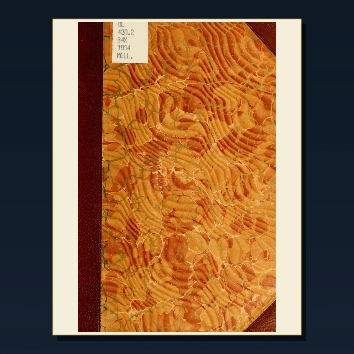 125 Hawaii History Travel and Culture PDF Books – Curated Historical Collection image 2