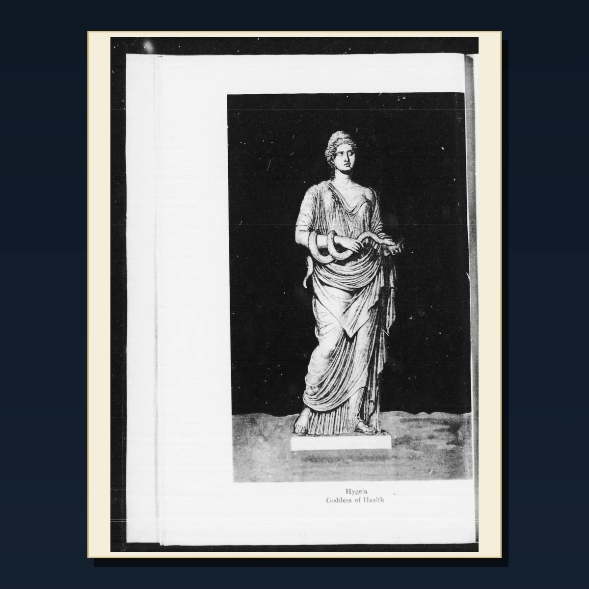 110 History of Nursing and Nurse Training PDF Books – Curated Historical Collection image 5