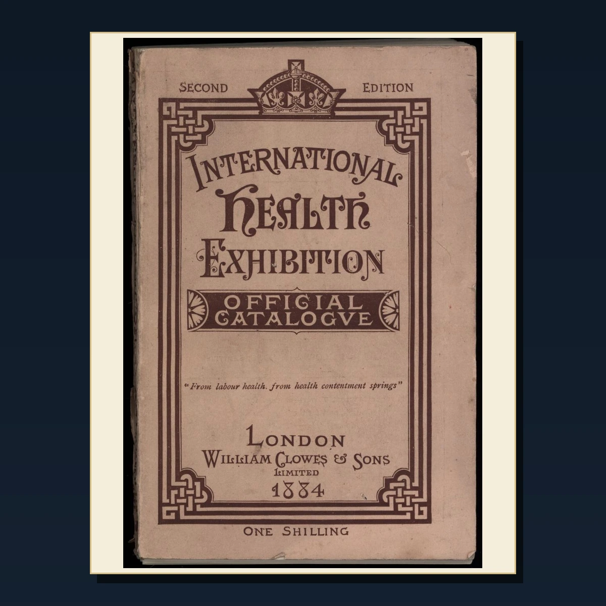 125 History of Psychiatry and Mental Health PDF Books – Curated Historical Collection image 4