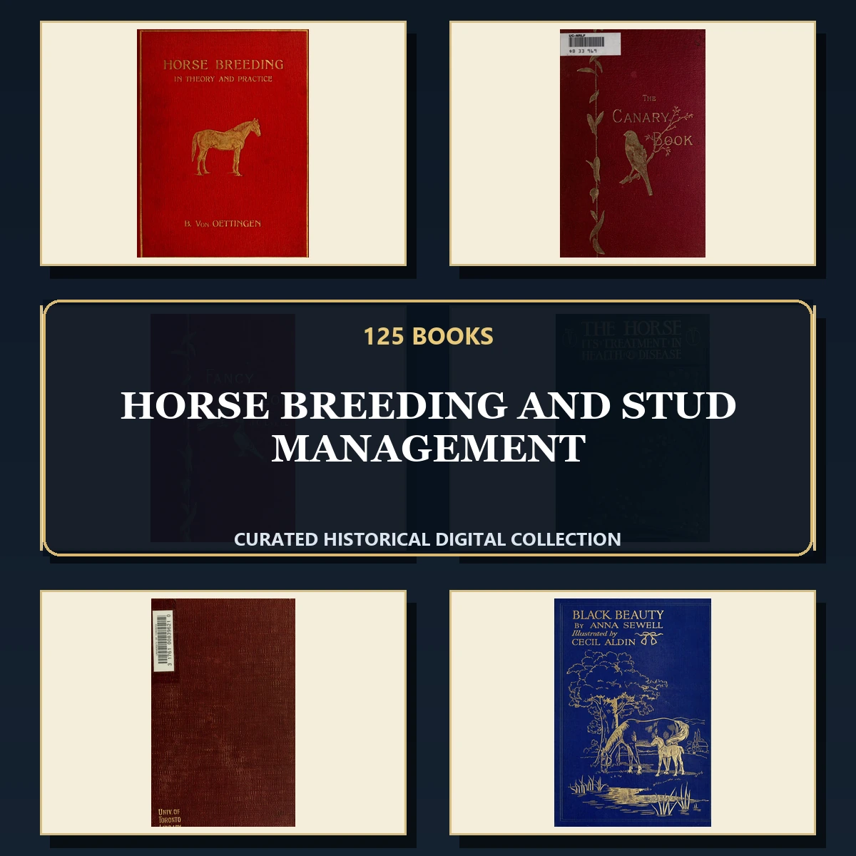 125 Horse Breeding and Stud Management PDF Books – Curated Historical Collection cover