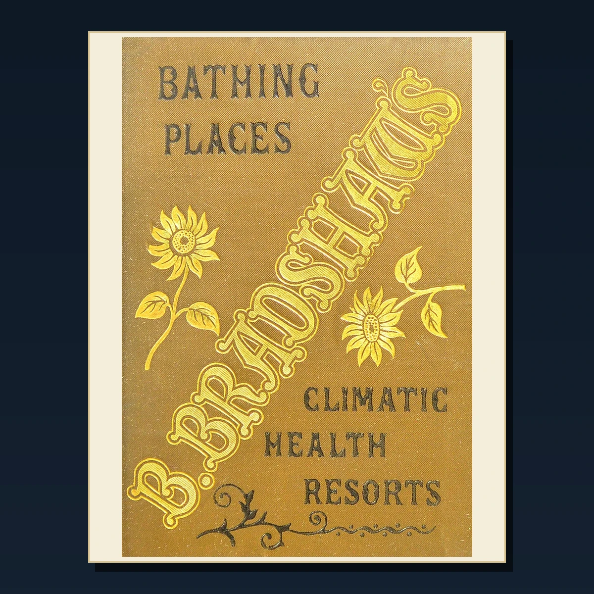 125 Hydrotherapy Baths and Health Resorts PDF Books – Curated Historical Collection image 3