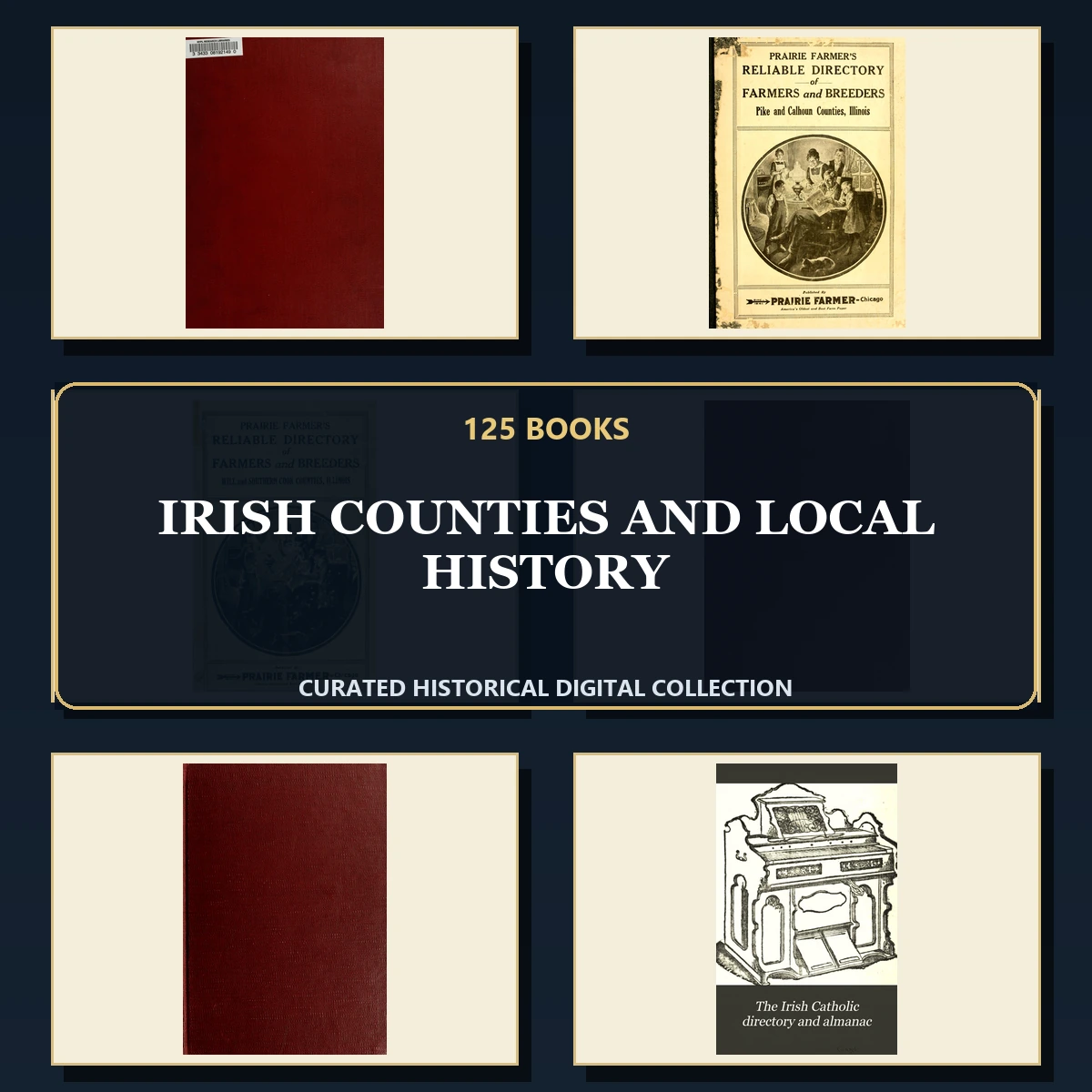 125 Irish Counties and Local History PDF Books – Curated Historical Collection cover