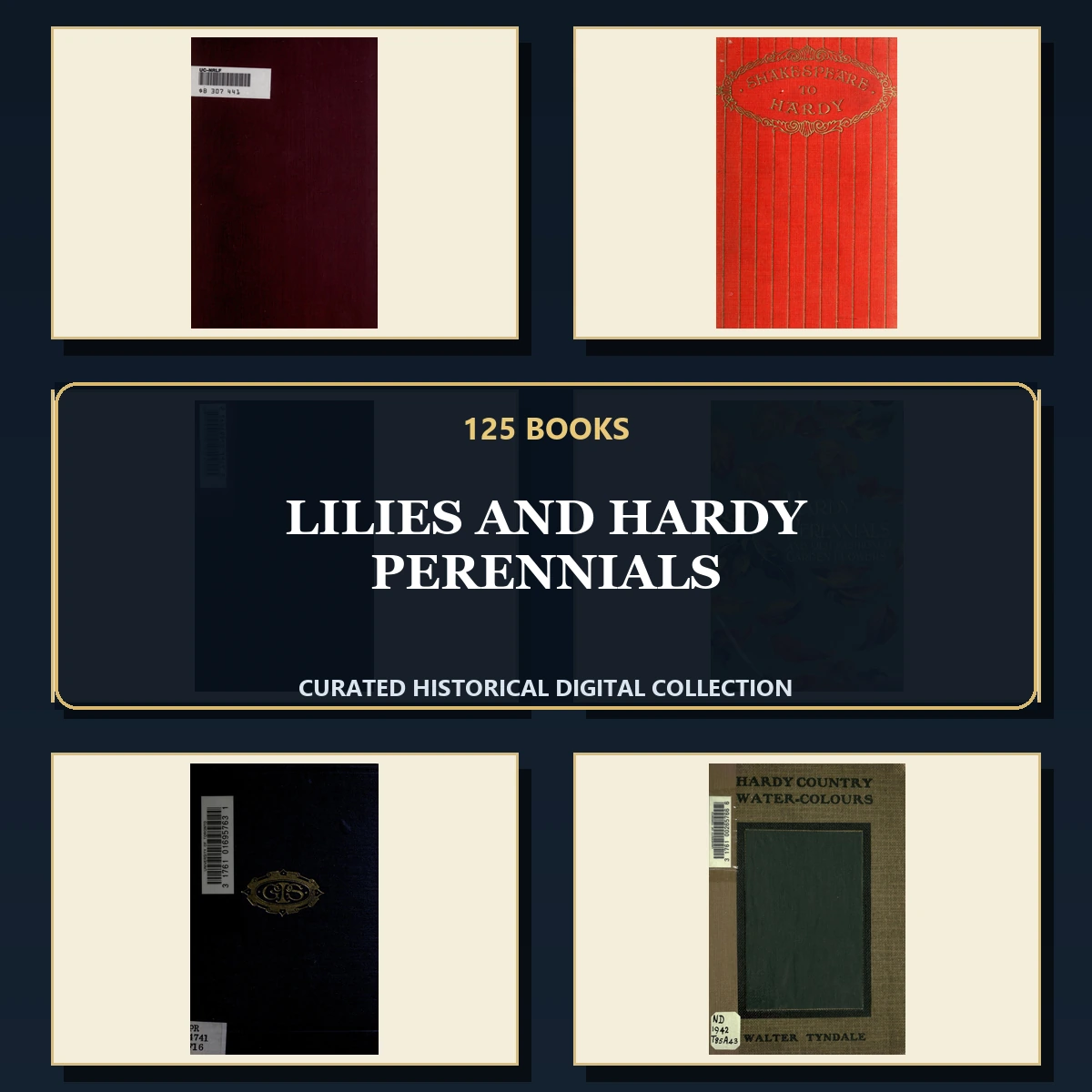 125 Lilies and Hardy Perennials PDF Books – Curated Historical Collection cover
