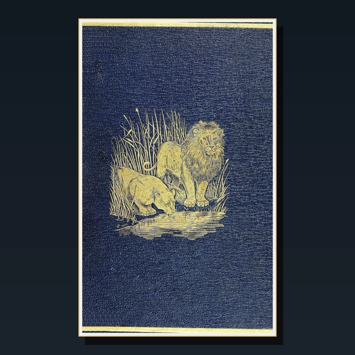 107 Mammals and Zoology Books image 4