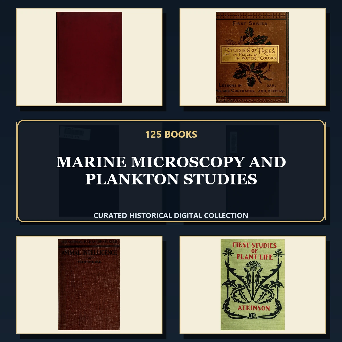 125 Marine Microscopy and Plankton Studies PDF Books – Curated Historical Collection