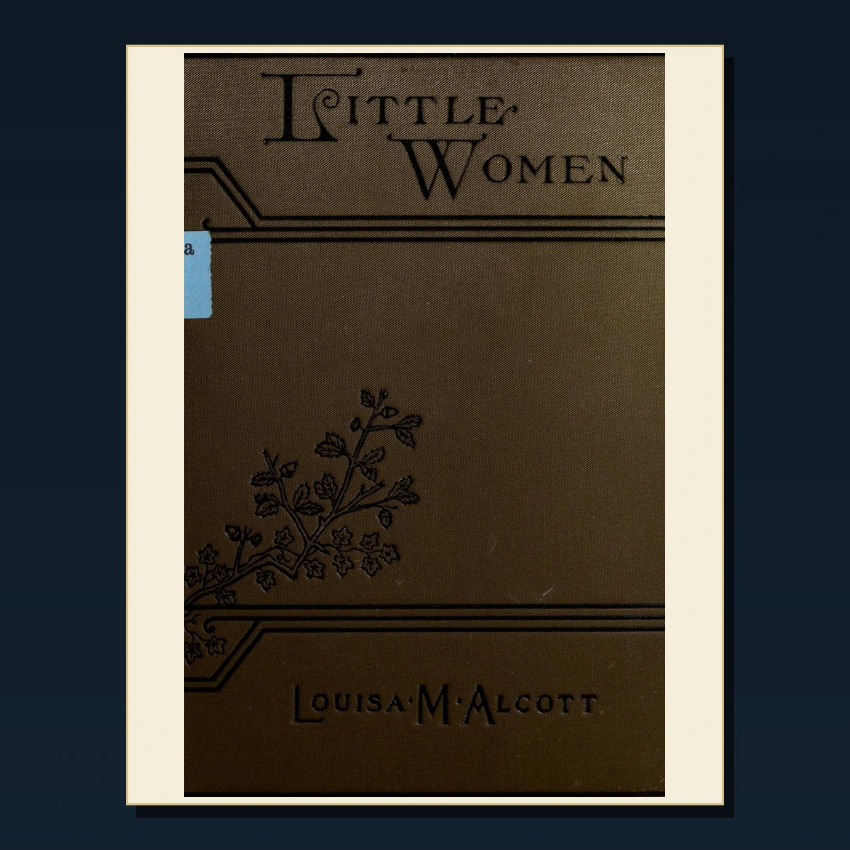125 Medieval Women and Domestic Life PDF Books – Curated Historical Collection image 6
