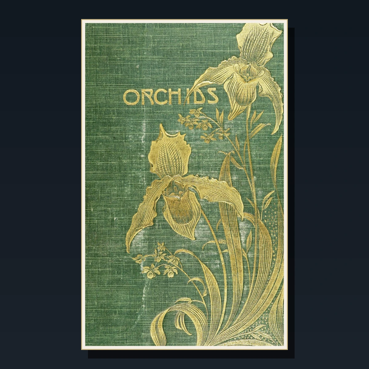 125 Orchids Books image 2