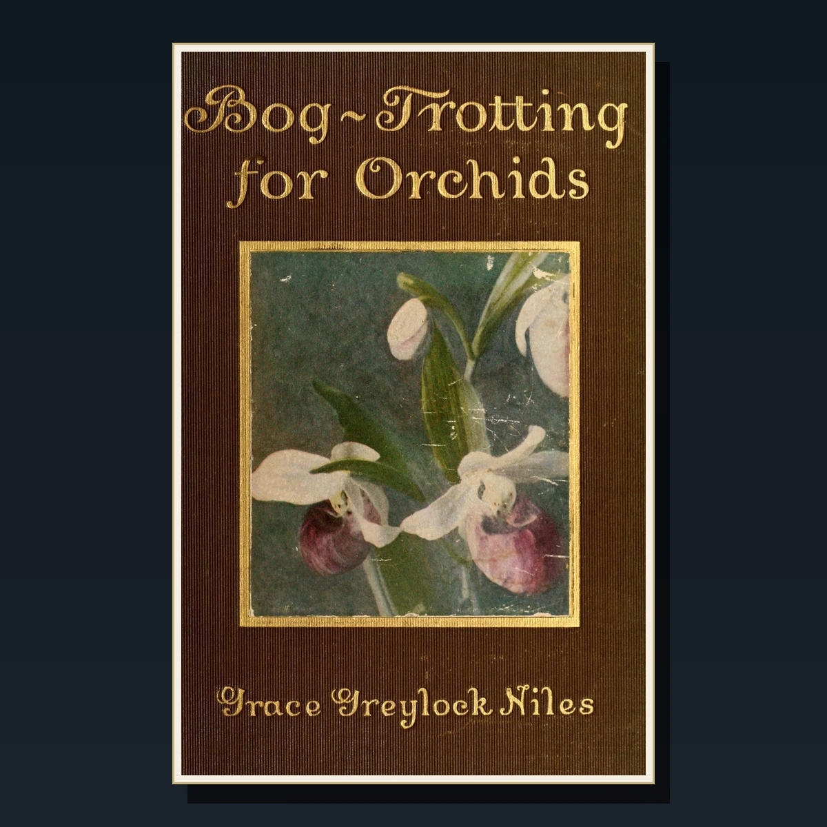 125 Orchids Books image 5