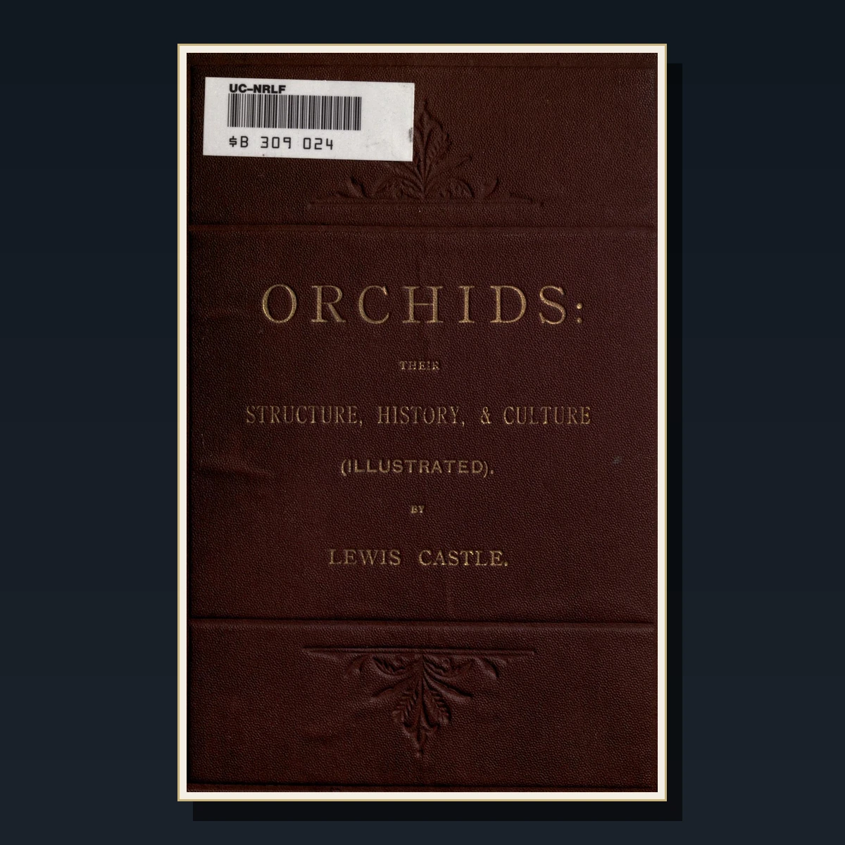 125 Orchids Books image 6