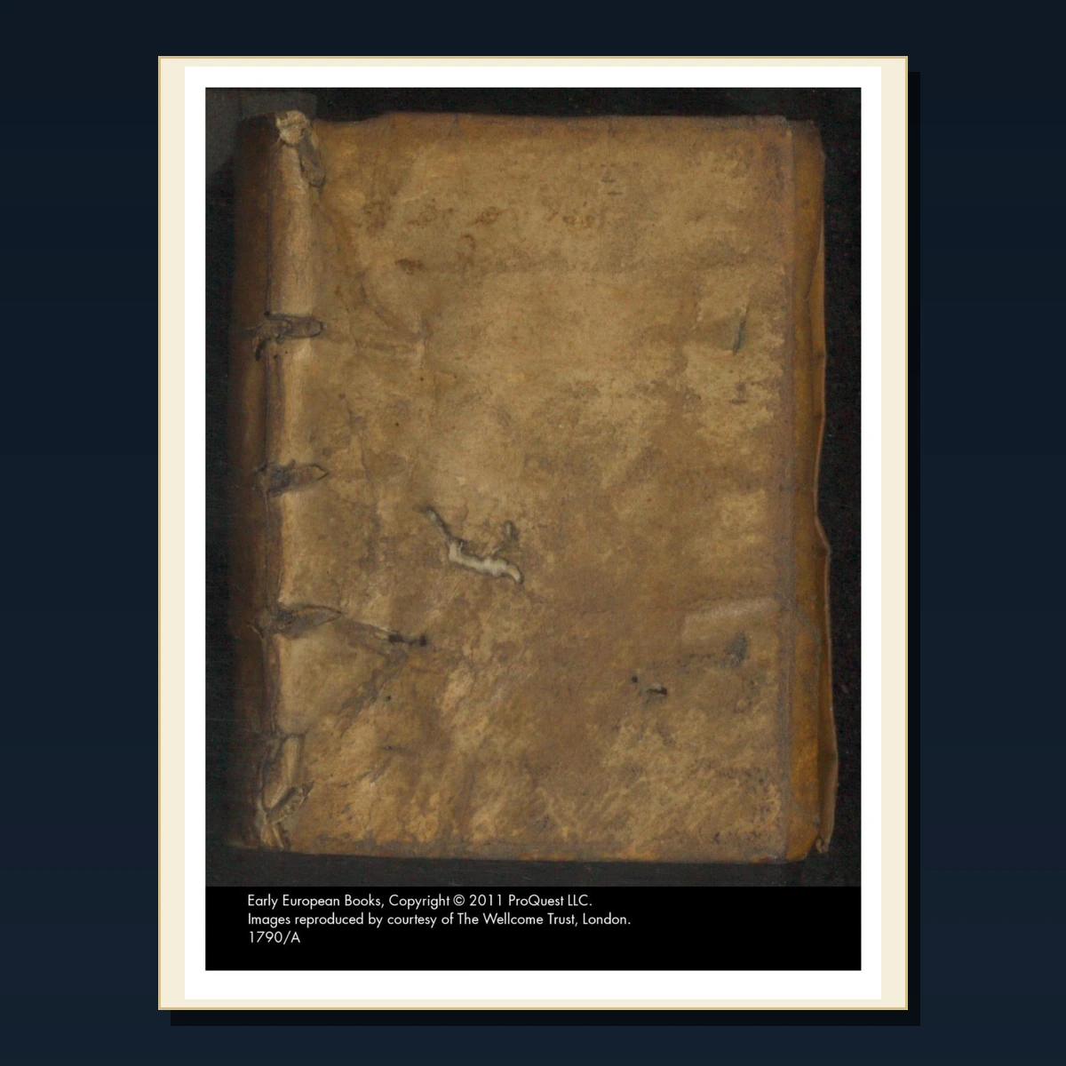 94 Pharmacy Materia Medica and Dispensing PDF Books – Curated Historical Collection image 3