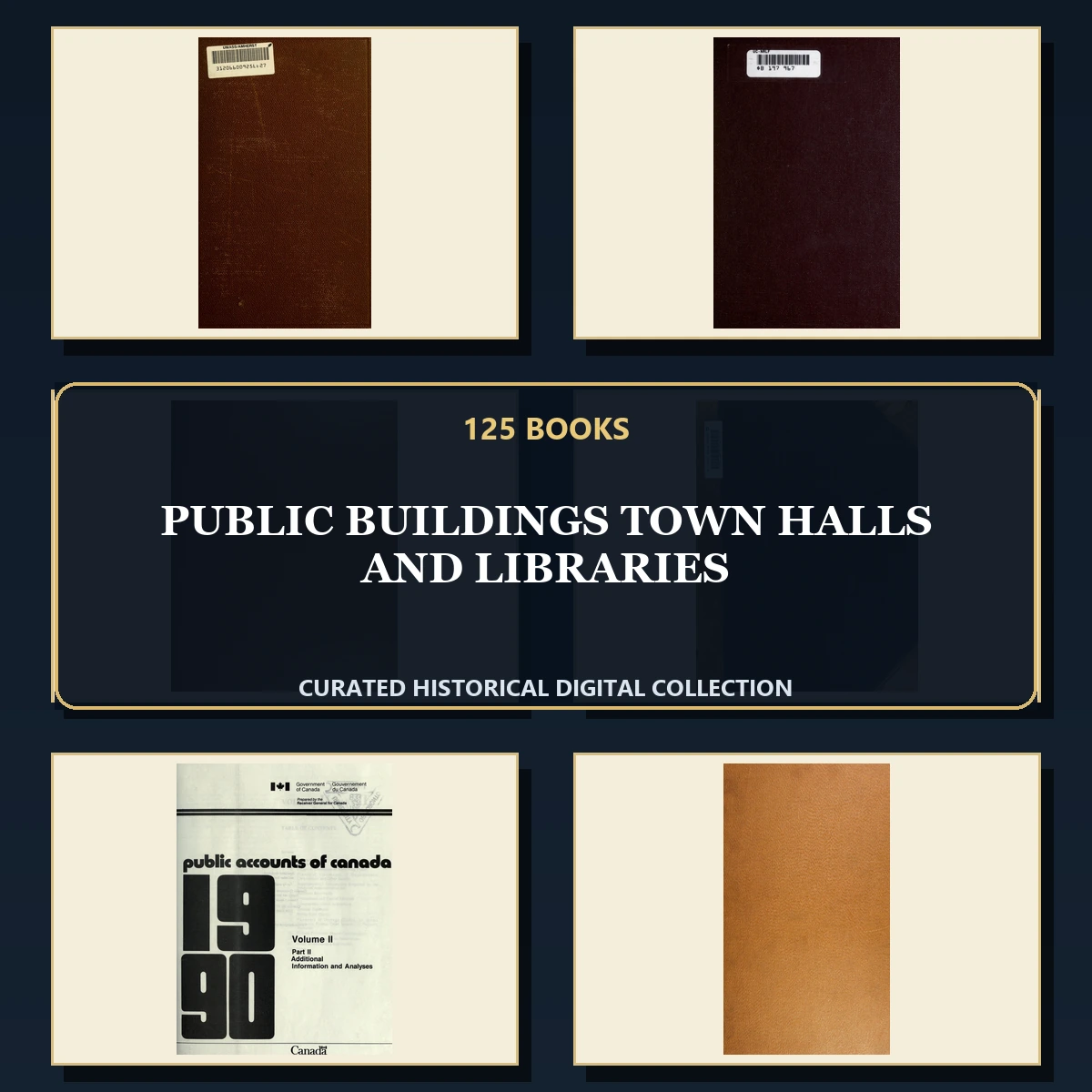 125 Public Buildings Town Halls and Libraries PDF Books – Curated Historical Collection cover
