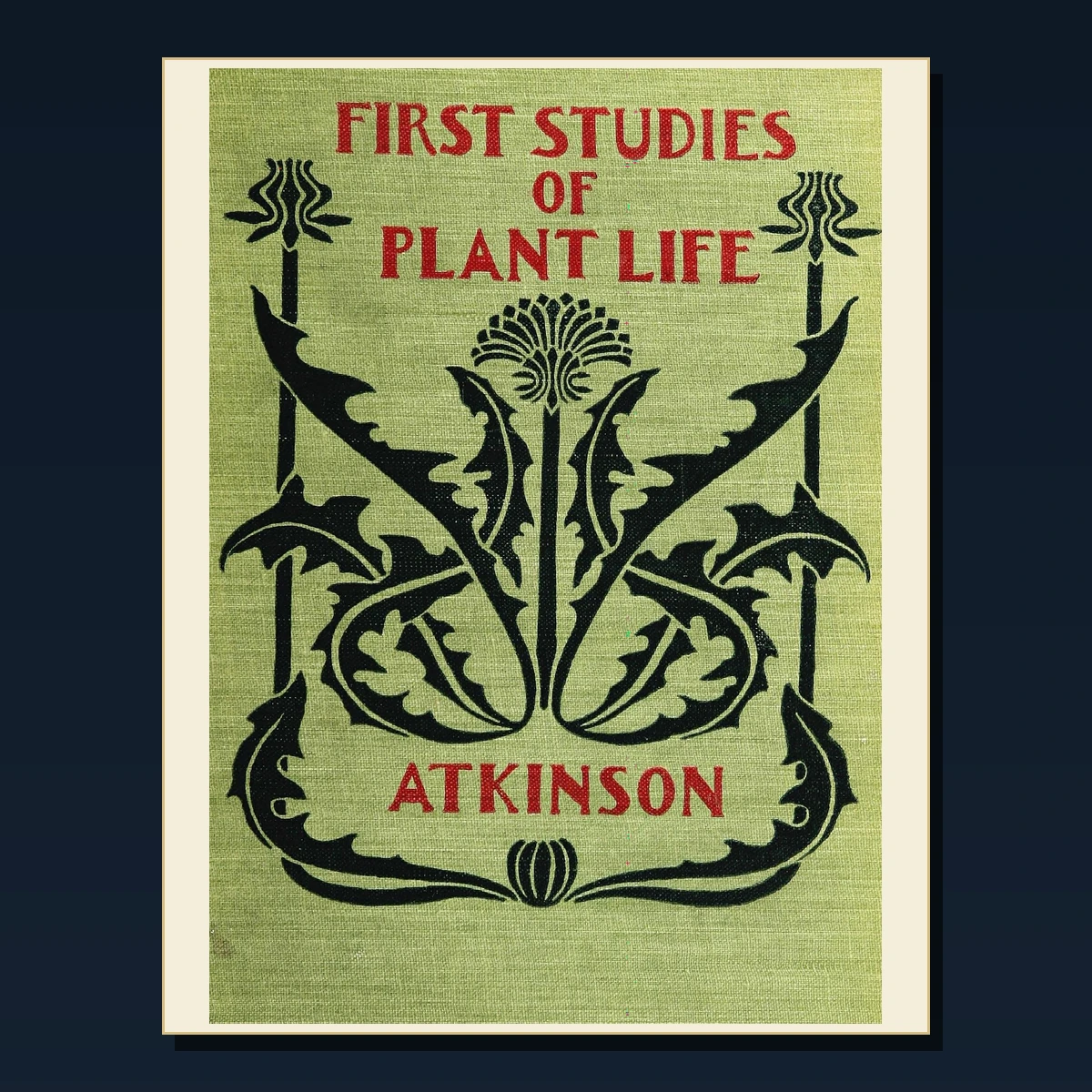 125 Seed Saving and Plant Propagation PDF Books – Curated Historical Collection image 4