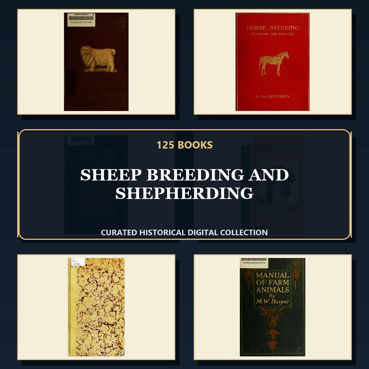 125 Sheep Breeding and Shepherding PDF Books – Curated Historical Collection cover