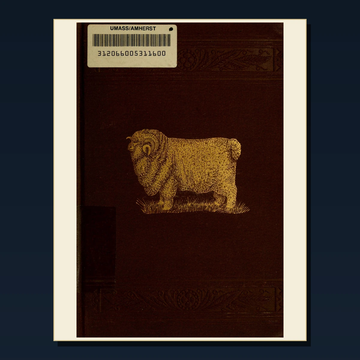 125 Sheep Breeding and Shepherding PDF Books – Curated Historical Collection image 2
