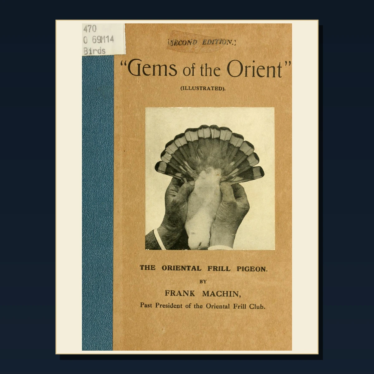 125 Sheep Breeding and Shepherding PDF Books – Curated Historical Collection image 5