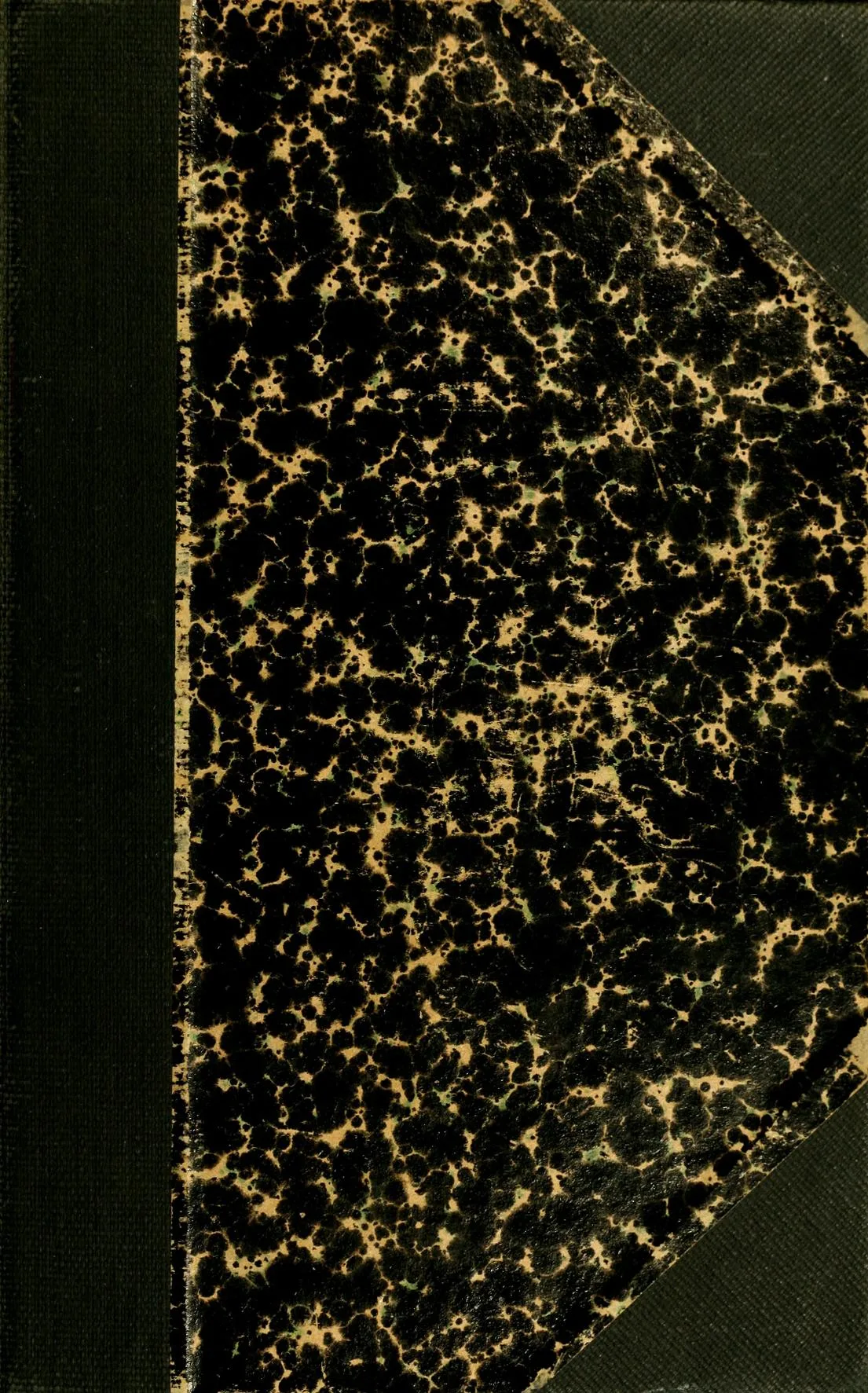 100 Antique Shells, Molluscs & Conchology Books PDF Collection on USB preview gallery image