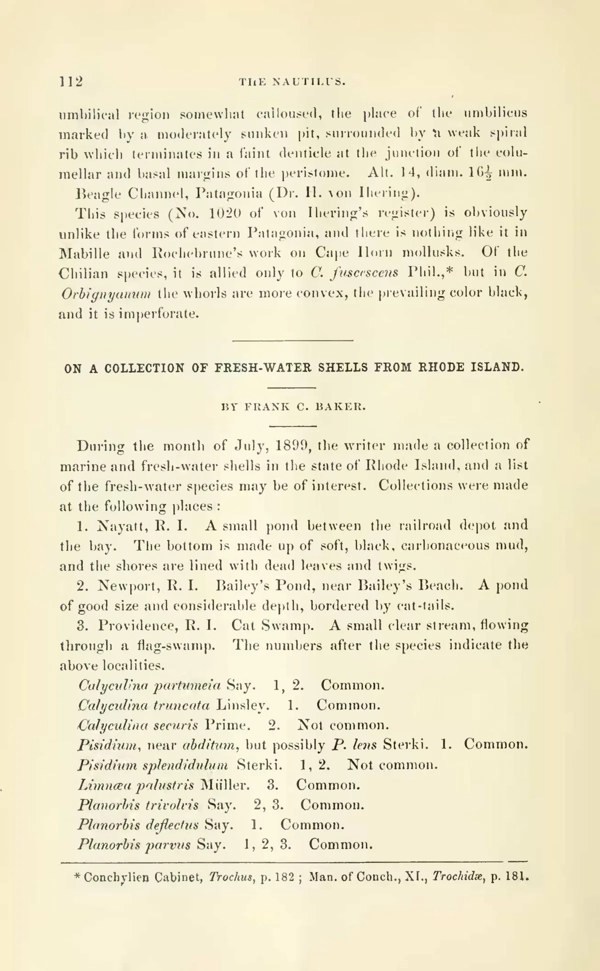 100 Antique Shells, Molluscs & Conchology Books PDF Collection on USB preview gallery image