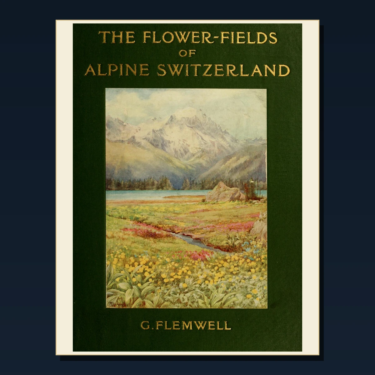 125 Switzerland Cantons and Alpine History PDF Books – Curated Historical Collection image 2
