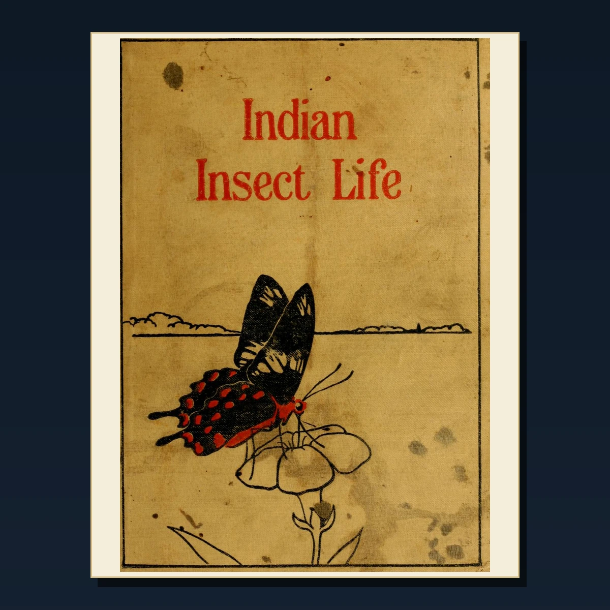 125 Tropical Medicine and Hygiene PDF Books – Curated Historical Collection image 4