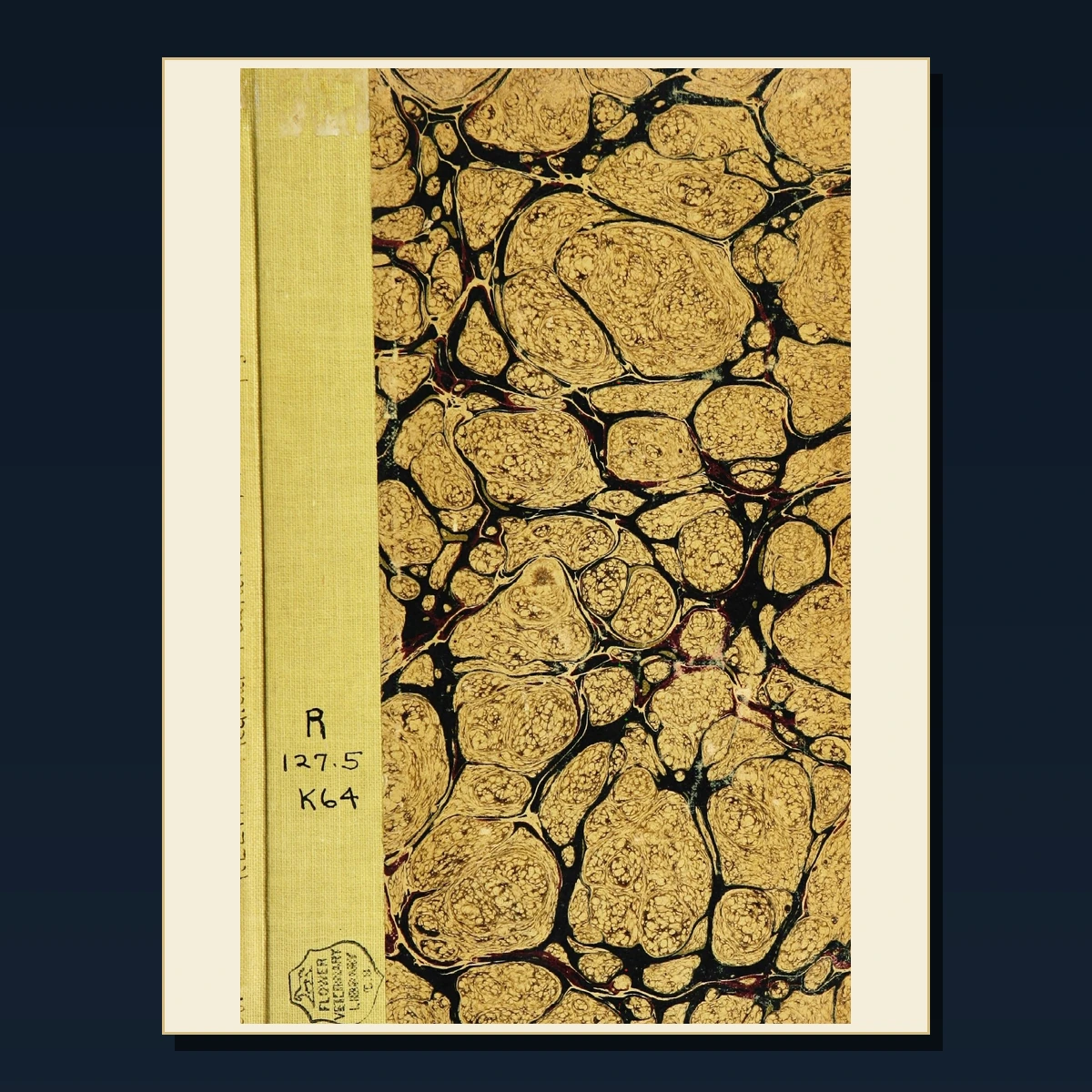 125 Women Physicians and Medical Education PDF Books – Curated Historical Collection image 4